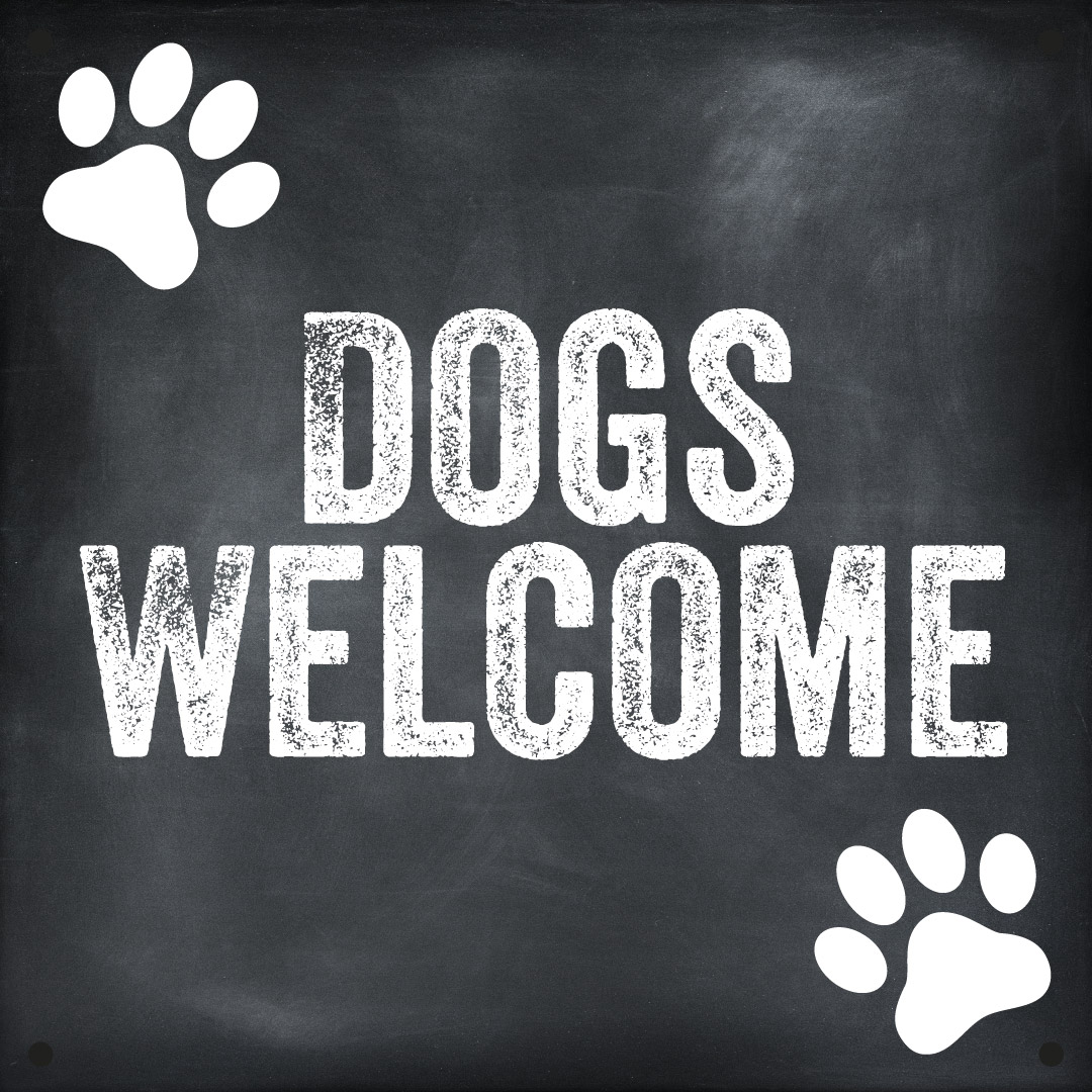 Dog Friendly